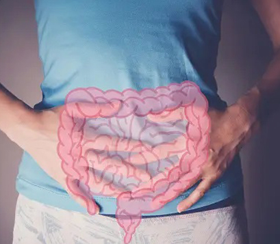 Img_Gastro-Intestinal